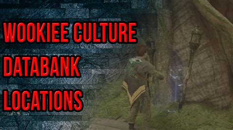 wookiee culture 2|fallen order kashyyyk echo.
